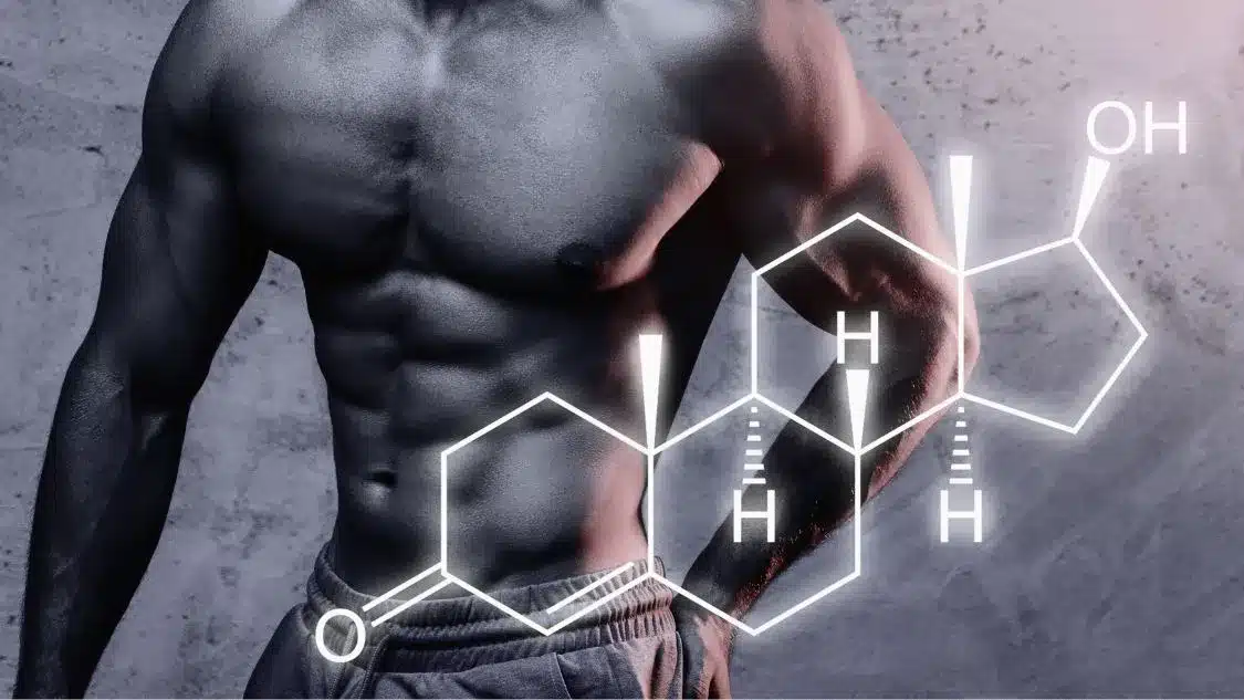 augmenter sa testostérone