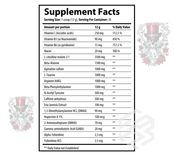 GYMLABS NUTRITION GUN POWDER – Image 2